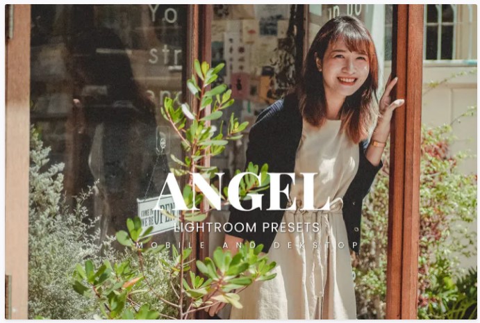 [Elements.Envato] Angel Lightroom Presets Dekstop _0.jpg
